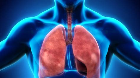 her iki akciğer arasındaki boşluğa ne denir